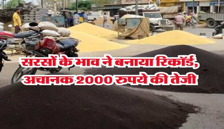 sarso ka bhav 17 july : सरसों के भाव ने बनाया रिकॉर्ड, अचानक 2000 रुपये की तेजी