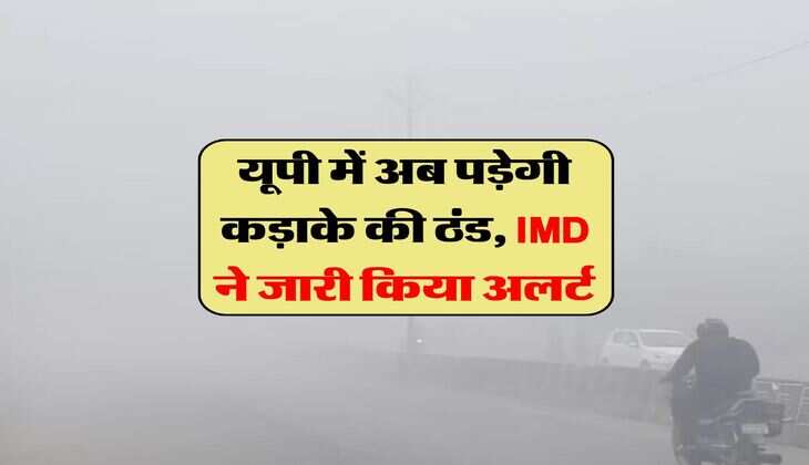 UP News : यूपी में अब पड़ेगी कड़ाके की ठंड, IMD ने जारी किया अलर्ट