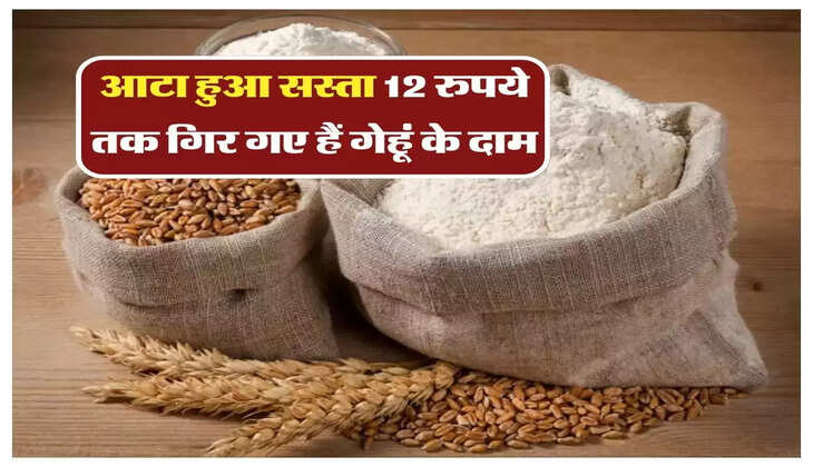 Atta Price: आटा हुआ सस्ता, 12 रुपये तक गिर गए हैं गेहूं के दाम, क्या आगे और गिरेंगे भाव?