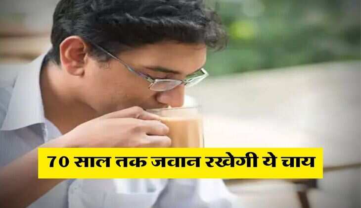 Tea Benefits : 70 साल तक जवान रखेगी ये चाय, जान लें पीने का सही तरीका
