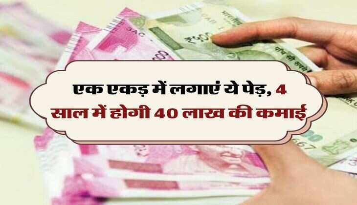 Business Idea: एक एकड़ में लगाएं ये पेड़, 4 साल में होगी 40 लाख की कमाई