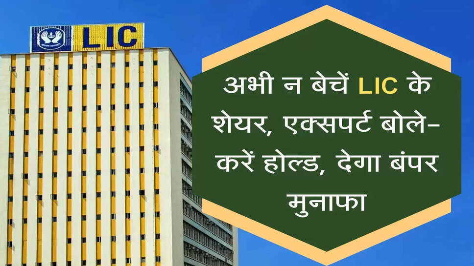 LIC Stock:&nbsp;अभी न बेचें LIC के शेयर, एक्सपर्ट बोले- करें होल्ड, देगा बंपर मुनाफा