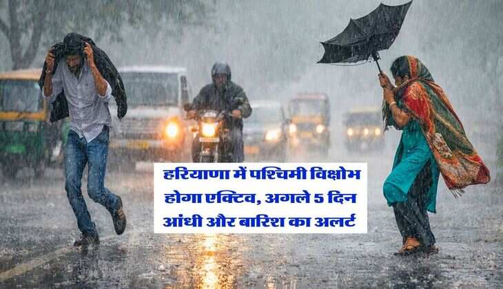 Haryana Weather : हरियाणा में पश्चिमी विक्षोभ होगा एक्टिव, अगले 5 दिन आंधी और बारिश का अलर्ट&nbsp;