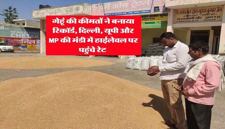 Wheat Rate : गेहूं की कीमतों ने बनाया रिकॉर्ड, दिल्ली, यूपी और MP की मंडी में हाईलेवल पर पहुंचे रेट&nbsp;
