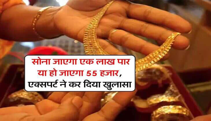 Gold Rate : सोना जाएगा एक लाख पार या हो जाएगा 55 हजार, एक्सपर्ट ने कर दिया खुलासा