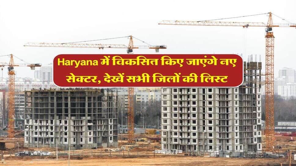 Haryana में विकसित किए जाएंगे नए सेक्टर, देखें सभी जिलों की लिस्ट
