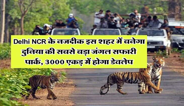 Delhi NCR के नजदीक इस शहर में बनेगा दुनिया की सबसे बड़ा जंगल सफारी पार्क, 3000 एकड़ में होगा डेवलेप