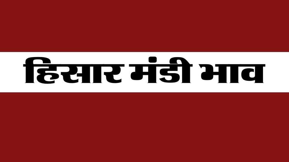 हिसार मंडी भाव 25 अक्टूबर 2026 : गेहूं, चना, सरसों की कीमतों में तेजी, धान, मूंगफली के दाम स्थिर