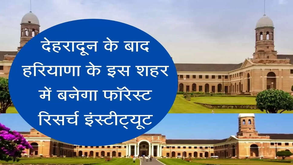 Forest Research Institute in haryana देहरादून के बाद हरियाणा के इस शहर में बनेगा फॉरेस्ट रिसर्च इंस्टीट्यूट