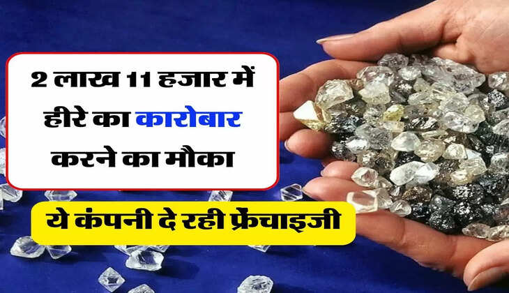 Business Idea : 2 लाख 11 हजार में हीरे का कारोबार करने का मौका, ये कंपनी दे रही फ्रेंचाइजी