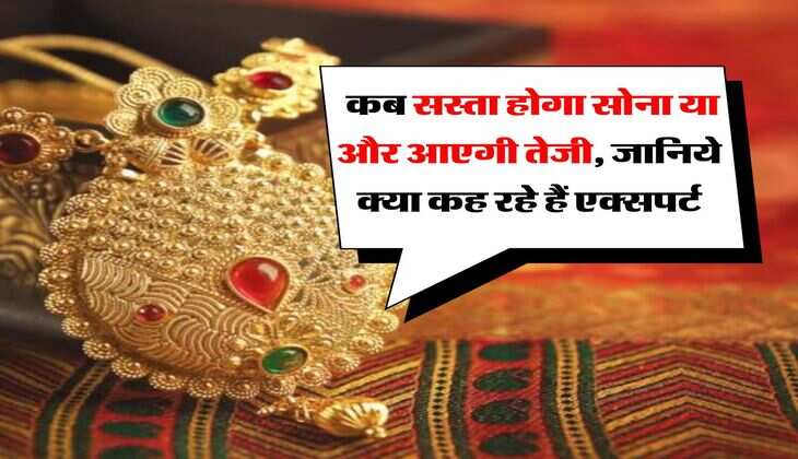 Gold Rate : कब सस्ता होगा सोना या और आएगी तेजी, जानिये क्या कह रहे हैं एक्सपर्ट