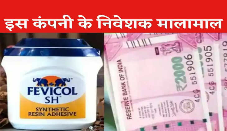 Share Market : Business News : Favicol Company :इस शेयर ने 1 लाख के बनाए 55 लाख, और भी बढ़ेगा