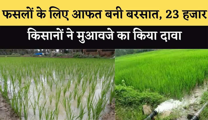 फसलों के लिए आफत बनी बरसात, 23 हजार किसानों ने मुआवजे का किया दावा