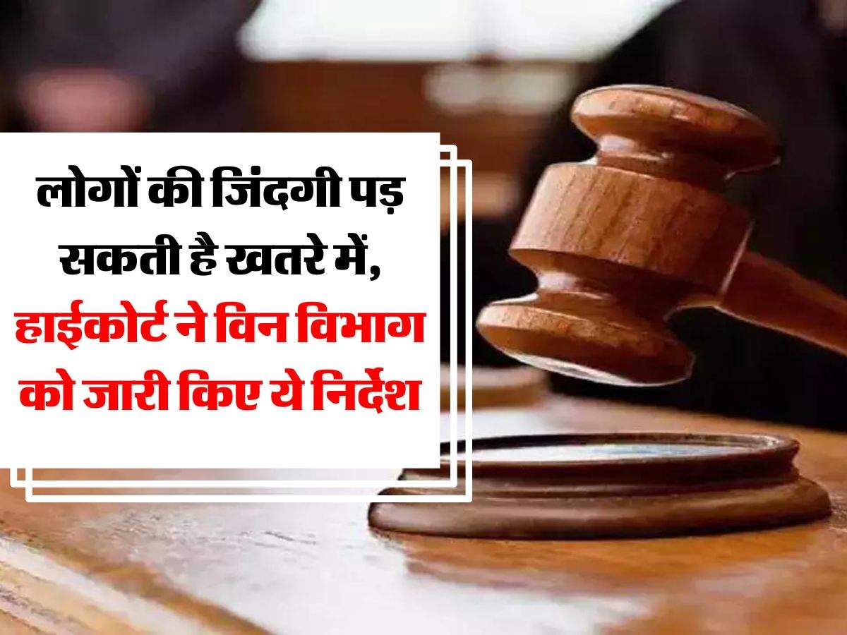 Delhi High Court : लोगों की जिंदगी पड़ सकती है खतरे में, हाईकोर्ट ने विन विभाग को जारी किए ये निर्देश