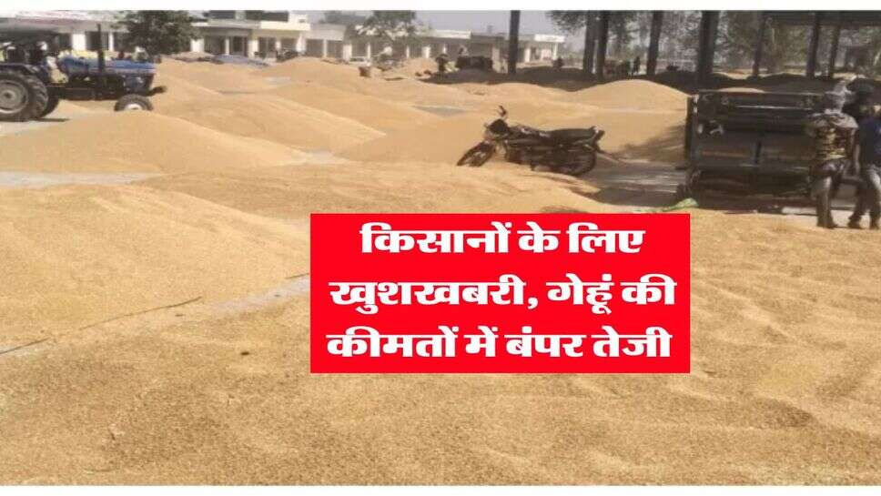 Gehu Rate : किसानों के लिए खुशखबरी, गेहूं की कीमतों में बंपर तेजी&nbsp;
