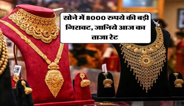 Gold Rate : सोने में 8000 रुपये की बड़ी गिरावट, जानिये आज का ताजा रेट&nbsp;