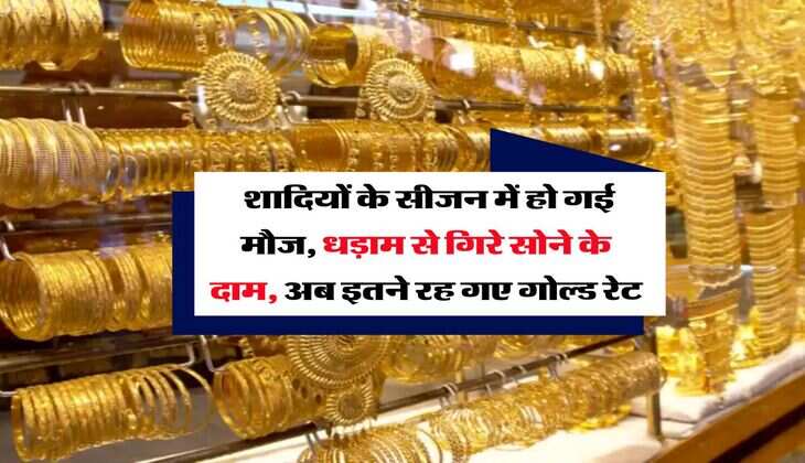 Gold Rate : शादियों के सीजन में हो गई मौज, धड़ाम से गिरे सोने के दाम, अब इतने रह गए गोल्ड रेट