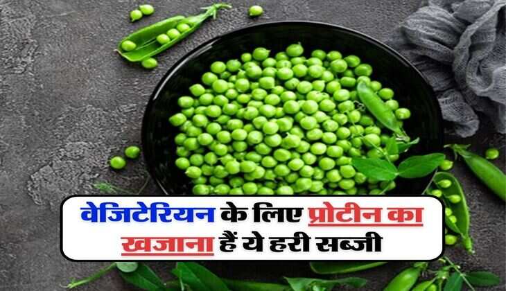 plant based protein :&nbsp;वेजिटेरियन के लिए प्रोटीन का खजाना हैं ये हरी सब्जी, और ब्लड शुगर लेवल को भी करेगी कंट्रोल