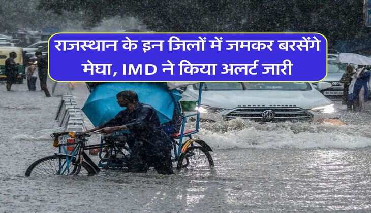 IMD Rain Alert : राजस्थान के इन जिलों में जमकर बरसेंगे मेघा, IMD ने किया अलर्ट जारी