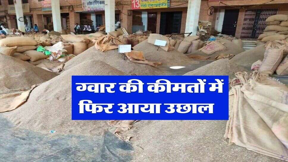 Guar ka Rate : ग्वार की कीमतों में फिर आया उछाल&nbsp;