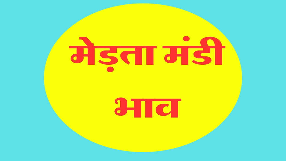 मेड़ता मंडी भाव 28 अक्टूबर 2026: सौंफ, चना और मूंग में तेजी, तारामीरा भी मजबूत