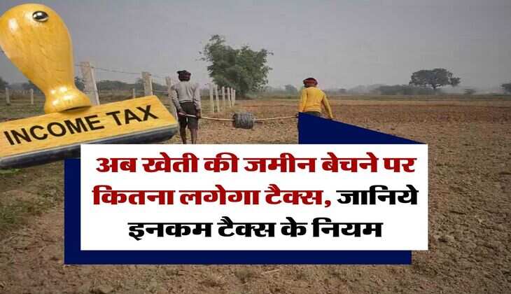 Income Tax : अब खेती की जमीन बेचने पर कितना लगेगा टैक्स, जानिये इनकम टैक्स के नियम