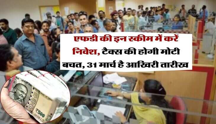 Special FD Schemes : एफडी की इन स्कीम में करें निवेश, टैक्स की होगी मोटी बचत, 31 मार्च है आखिरी तारीख 