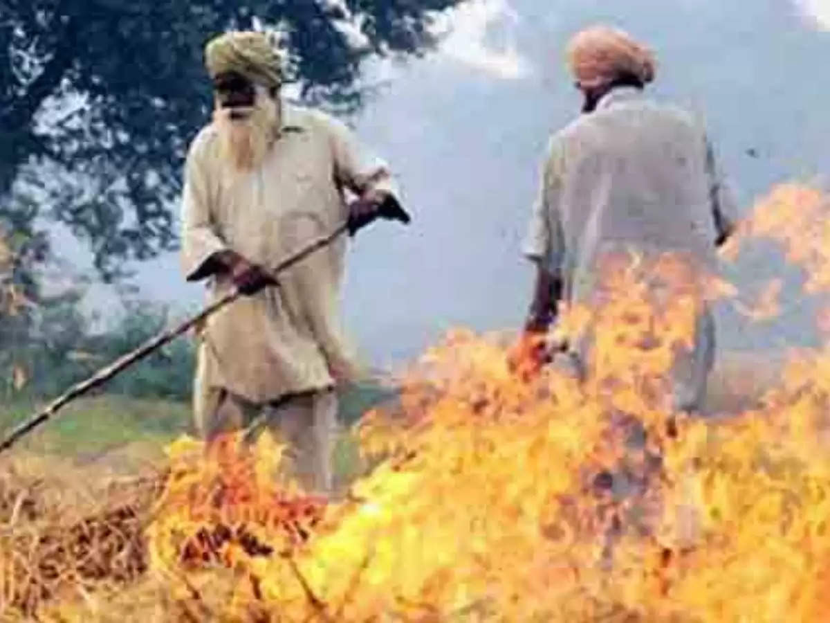  ऐसे निपटा जा सकता है पराली जलाने से (This can be dealt with by burning stubble)