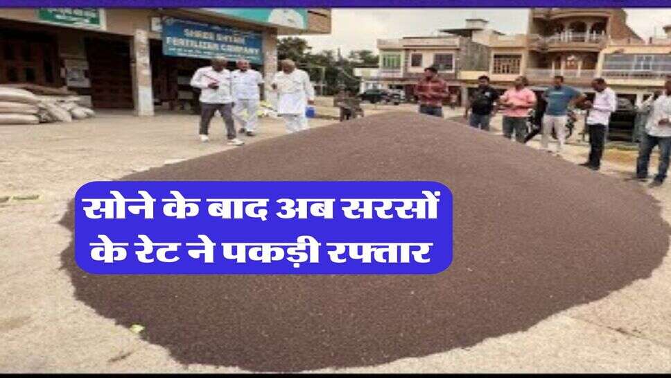 sarso rate : सोने के बाद अब सरसों के रेट ने पकड़ी रफ्तार