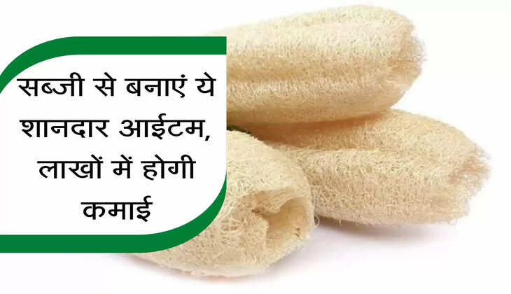 Unique Business Idea : सब्जी से बनाएं ये शानदार आईटम, लाखों में होगी कमाई