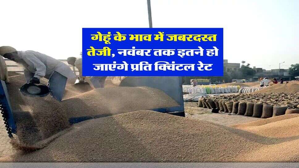 Mandi Bhav : गेहूं के भाव में जबरदस्त तेजी, नवंबर तक इतने हो जाएंगे प्रति क्विंटल रेट