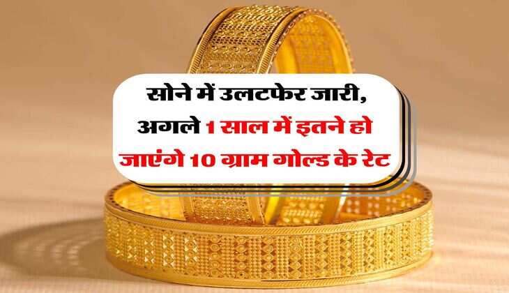 Gold Rate : सोने में उलटफेर जारी, अगले 1 साल में इतने हो जाएंगे 10 ग्राम गोल्ड के रेट