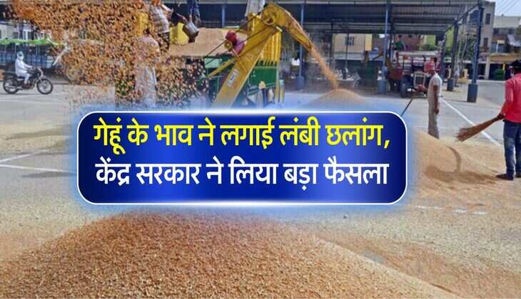 wheat rate : गेहूं के भाव ने लगाई लंबी छलांग, केंद्र सरकार ने लिया बड़ा फैसला