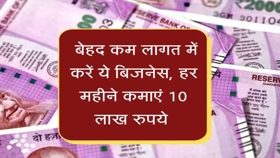 &nbsp;बेहद कम इनवेस्टमेंट में करें ये बिजनेस, हर महीने कमाएं&nbsp;10 लाख रुपये&nbsp;