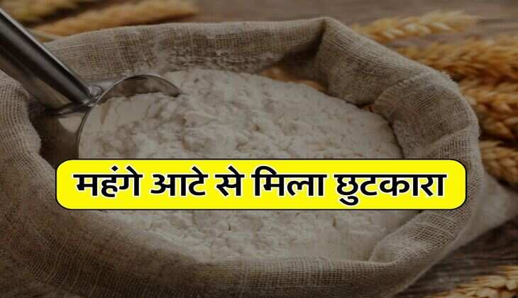 Bharat Atta Price: महंगे आटे से मिला छुटकारा, सरकार ने लॉन्च किया अपना आटे का ब्रांड, लोगों को मिलेगा इतने रुपये किलो