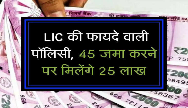  LIC की फायदे वाली पॉलिसी, 45 जमा करने पर मिलेंगे 25 लाख