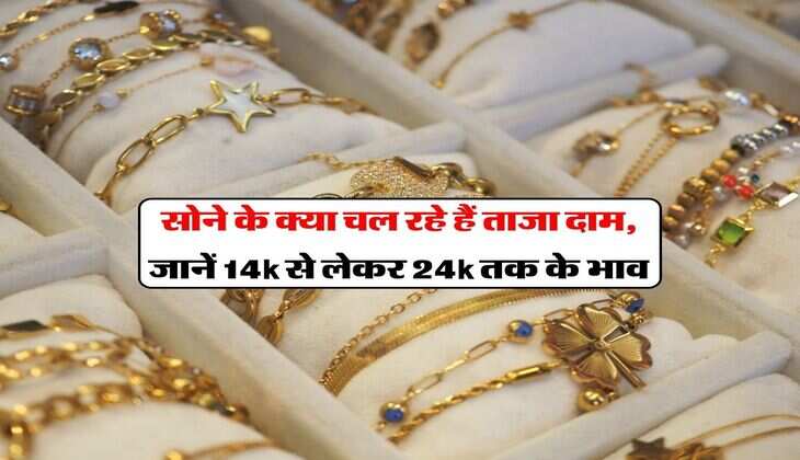 Gold Rate 16th March : सोने के क्या चल रहे हैं ताजा दाम, जानें 14k से लेकर 24k तक के भाव