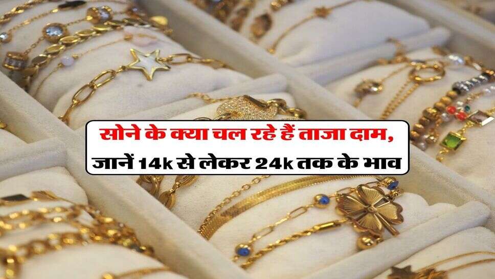 Gold Rate 16th March : सोने के क्या चल रहे हैं ताजा दाम, जानें 14k से लेकर 24k तक के भाव