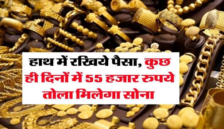 Gold Rate : हाथ में रखिये पैसा, कुछ ही दिनों में 55 हजार रुपये तोला मिलेगा सोना 