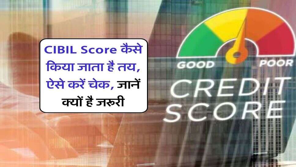 CIBIL Score कैसे किया जाता है तय, ऐसे करें चेक, जानें क्यों है जरूरी