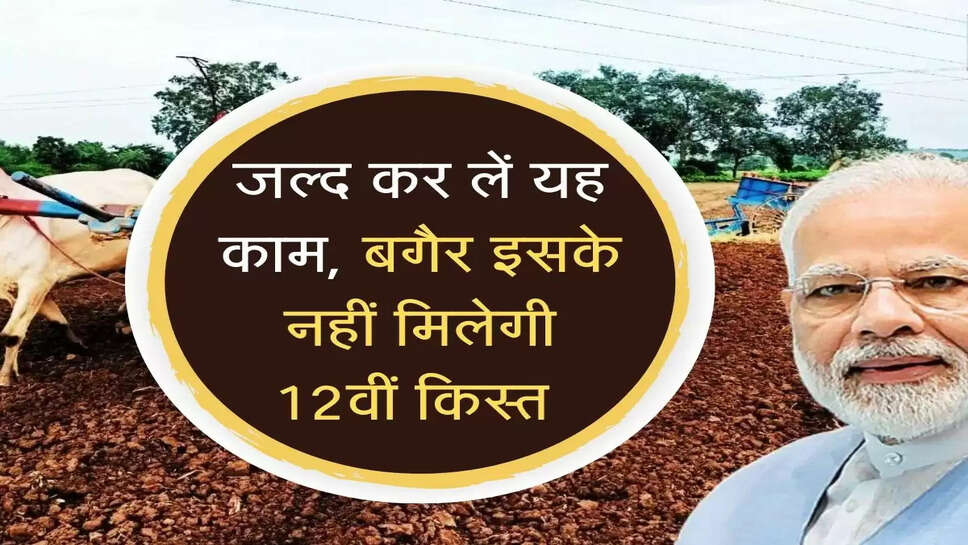 जल्द कर लें यह काम, बगैर इसके नहीं मिलेगी 12वीं किस्त 