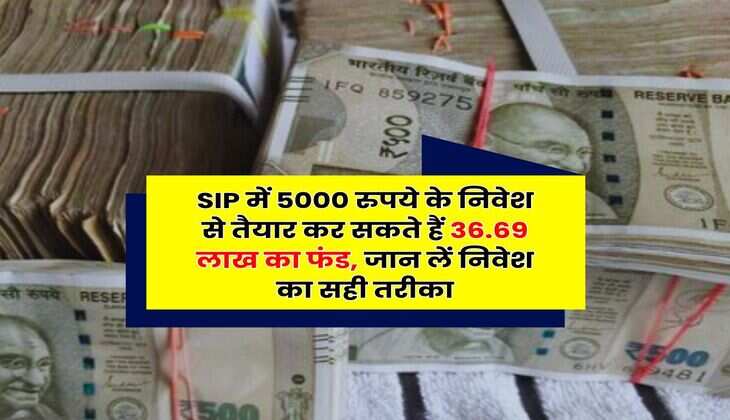 SIP में 5000 रुपये के निवेश से तैयार कर सकते हैं 36.69 लाख का फंड, जान लें निवेश का सही तरीका