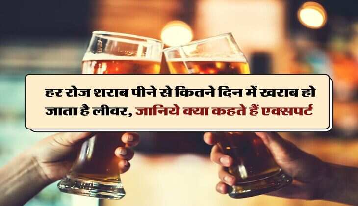 Wine Beer : हर रोज शराब पीने से कितने दिन में खराब हो जाता है लीवर, जानिये क्या कहते हैं एक्सपर्ट