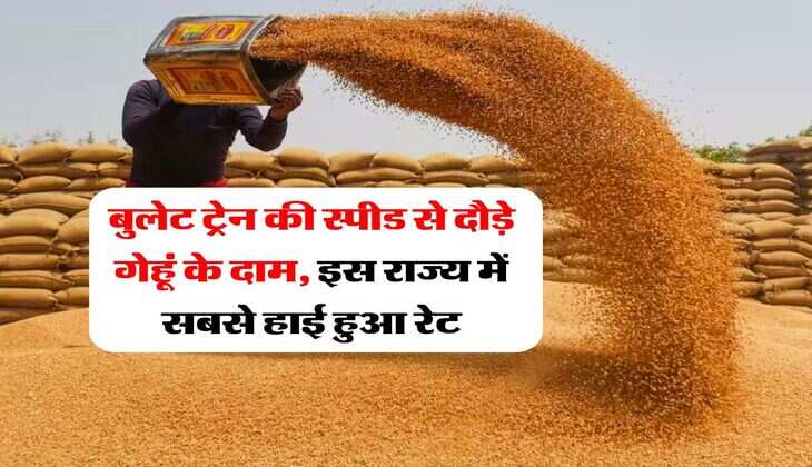 Wheat Price 9 July 2025 : बुलेट ट्रेन की स्पीड से दौड़े गेहूं के दाम, इस राज्य में सबसे हाई हुआ रेट