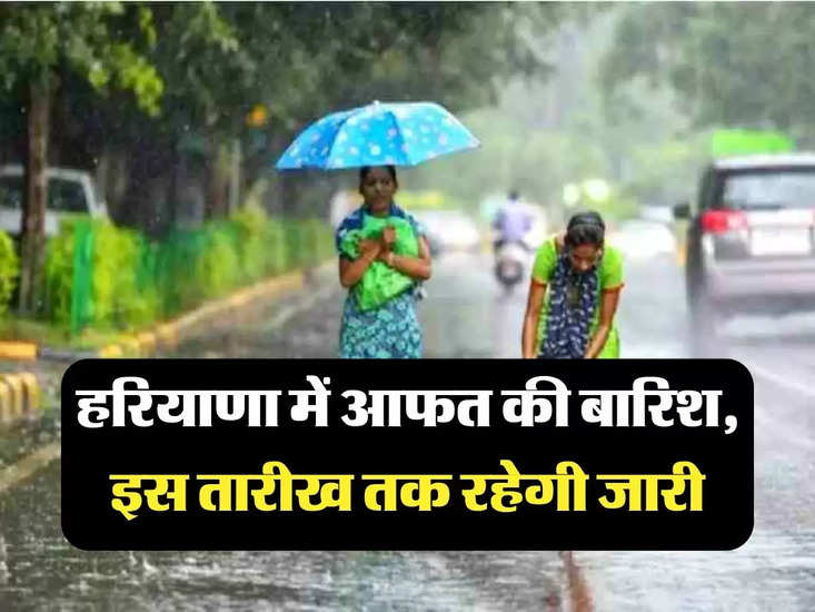 Haryana Weather Update : हरियाणा में आफत की बारिश, इस तारीख तक रहेगी जारी