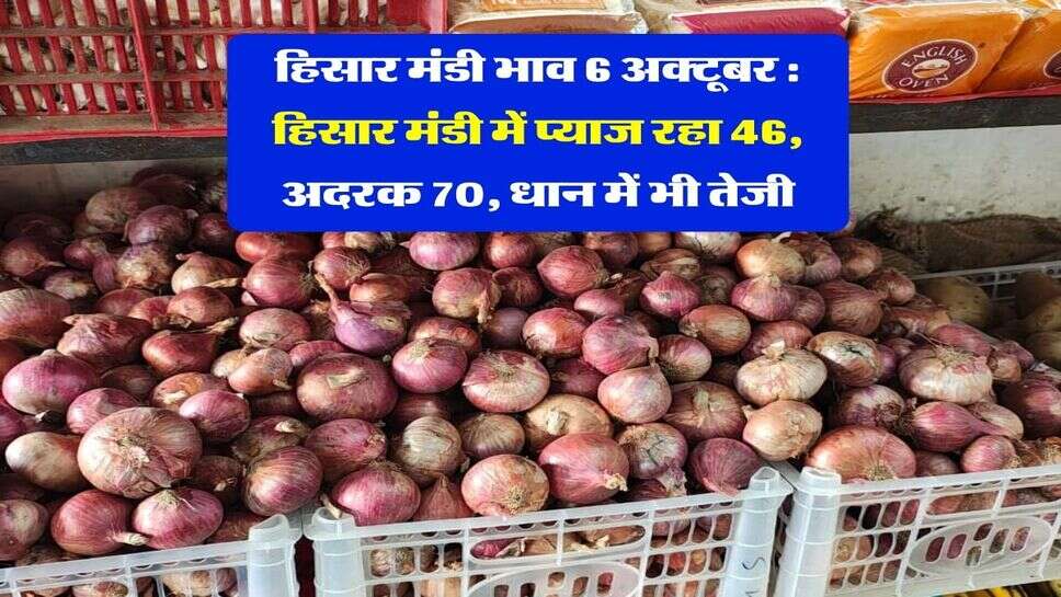 हिसार मंडी भाव 6 अक्टूबर : हिसार मंडी में प्याज रहा 46, अदरक 70, धान में भी तेजी