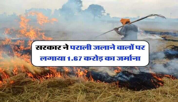 Delhi NCR News : सरकार ने पराली जलाने वालों पर लगाया 1.67 करोड़ का जर्माना&nbsp;