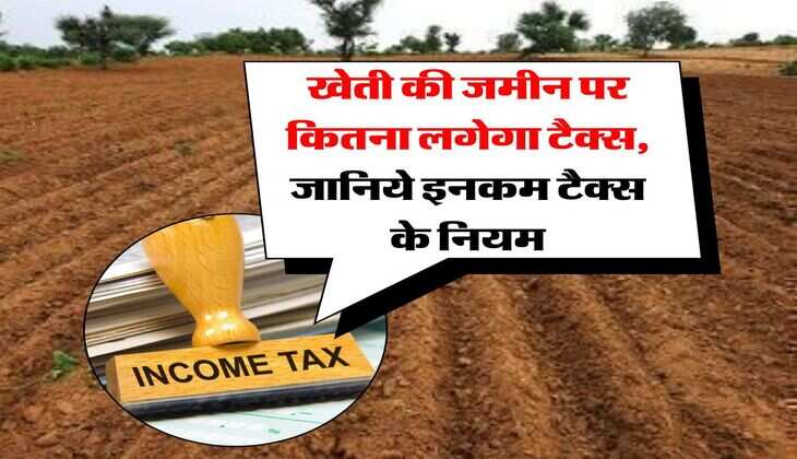 Income Tax Rules 2025 : खेती की जमीन पर कितना लगेगा टैक्स, जानिये इनकम टैक्स के नियम