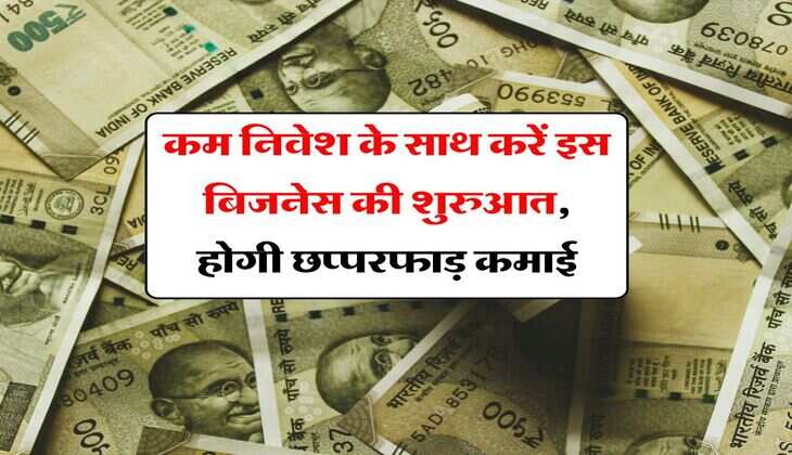 Business Idea : कम निवेश के साथ करें इस बिजनेस की शुरुआत, होगी छप्परफाड़ कमाई