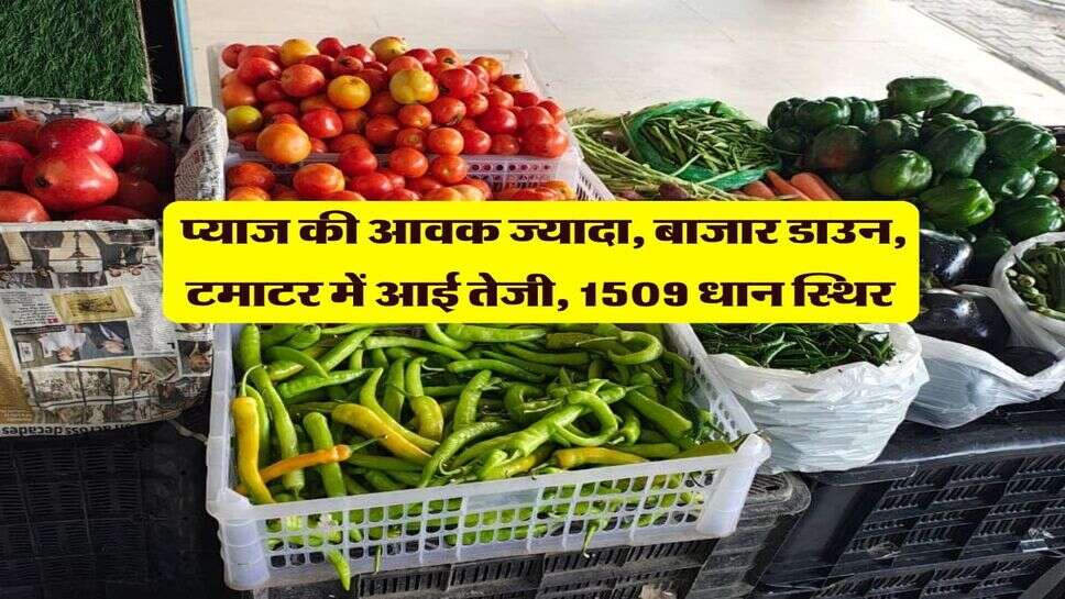 करनाल मंडी भाव 7 अक्टूबर : प्याज की आवक ज्यादा, बाजार डाउन, टमाटर में आई तेजी, 1509 धान स्थिर